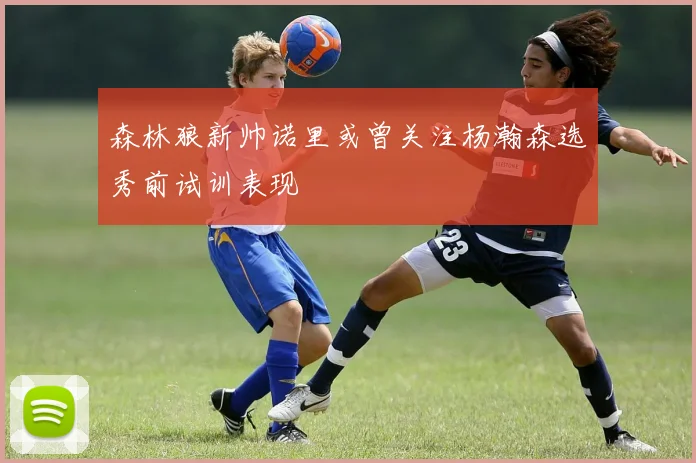 森林狼新帅诺里或曾关注杨瀚森选秀前试训表现